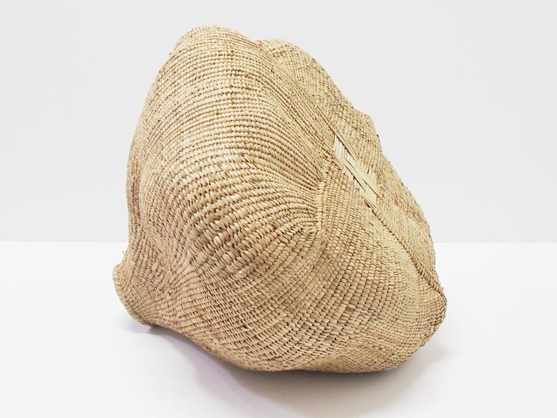 Garlic 60-65cm